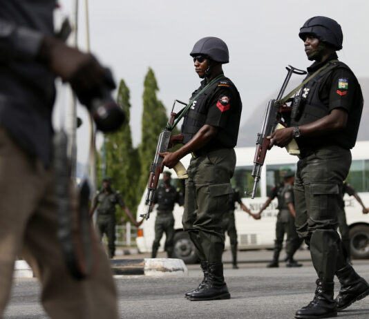 Oyo: IGP Deploys Additional Crack Detectives to Track Suspected Serial Killer