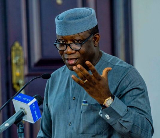Ekiti: Governor Fayemi takes pay cut, all political appointees included