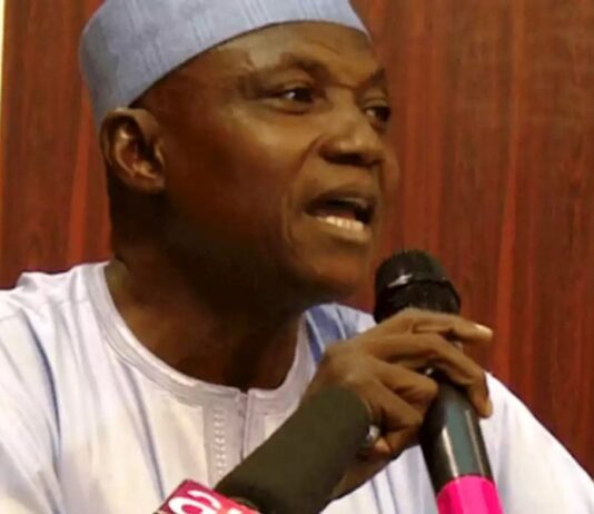 We Will Not Succumb to Threats, Pressure – Buhari-led Government Warns