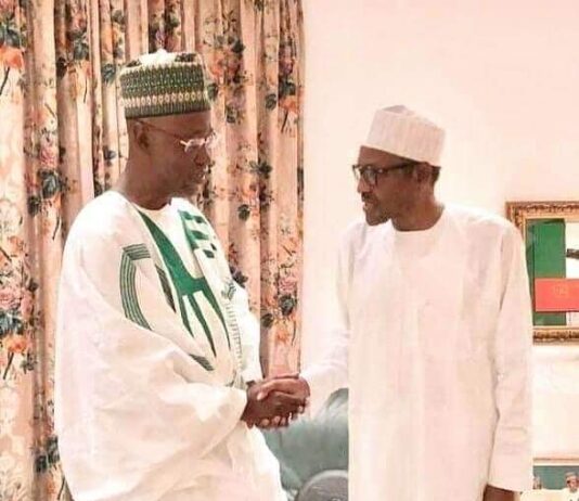 Tinubu commends Buhari over Ibrahim-Imam’s appointment as TETFUND Chairman