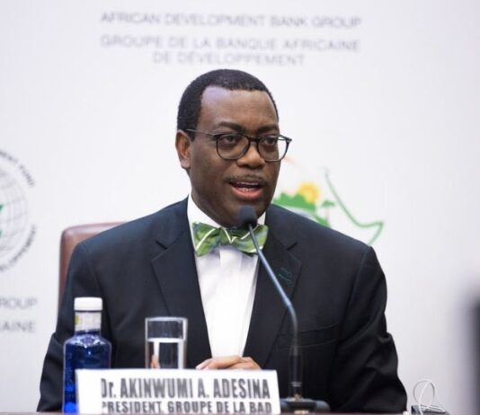 Akinwummi Adesina: Sierra Leone President, ex-US AfDB representative strengthens support base