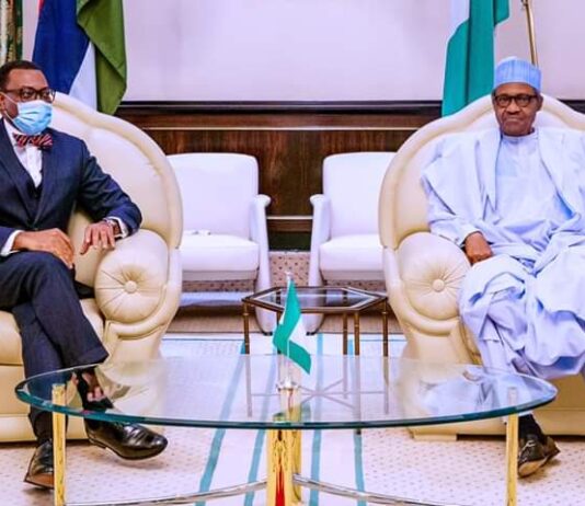 African Development Bank Presidency: I’ll Stand By You, Buhari Tells Adesina President Buhari and Adesina