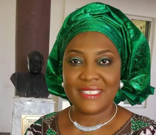 Abiodun Appoints Selimot Ottun as Ogun New Head of Service