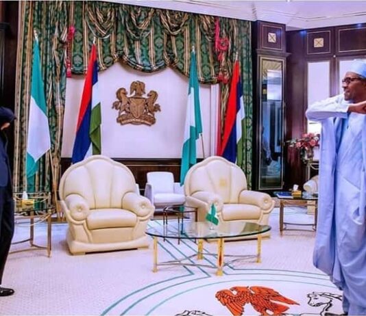 Buhari celebrates as Independent probe panel exonerates AfDB President Adesina