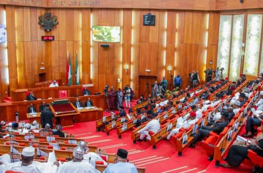 Nigerian Senate Warns Government of Another Protest if Needs Aren’t Met