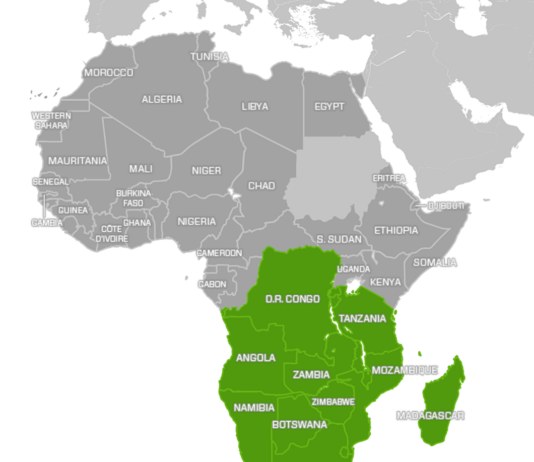 Southern Africa growth may contract by -6.6% in 2020, says AfDB