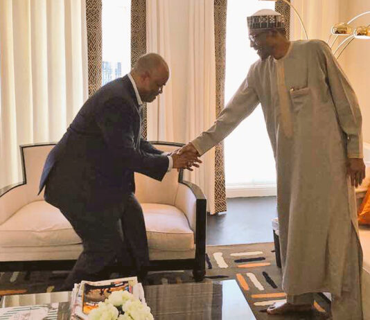 NDDC: Pay fees, stipends of stranded scholarship students abroad, Buhari orders Akpabio