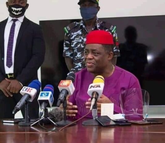 Again, Fani-Kayode Tenders Apologies, Says ‘I Disappointed Myself’