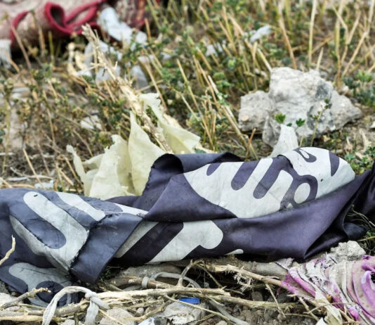 Terrorism: ISWAP fighters hold hundreds hostage in Nigerian town- sources say