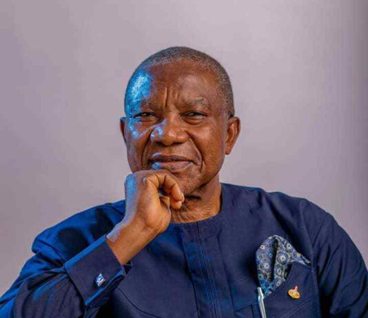 Ohuabunwa at 70: Buhari Praises His Contributions to Transform Nigerian Economy