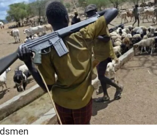 Plateau: Suspected herdsmen have So Far Struck 10 Traditional Rulers Dead