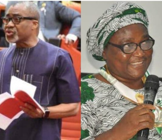 Unstable Economy Due to Lack of Seasoned Economists in Buhari’s Cabinet – NES