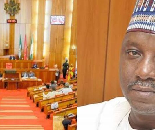 Senate Reveals: Power Minister Abuses Office, Sites 20 Projects in His LGA