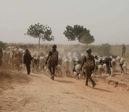 Nigerian Troops Kill Armed Bandits, Rescue Kidnapped Victim