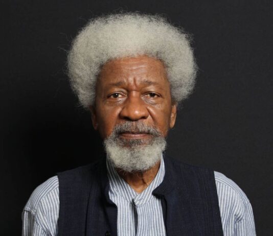 Soyinka Advocates Southeast Presidency for Civil War Healing