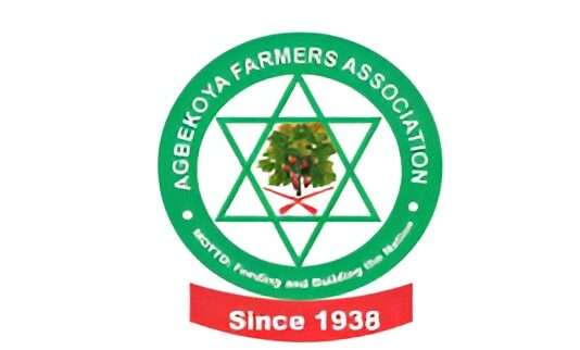 Agbekoya threatens ‘necessary action’ after three farmers killed in Igboho, Oyo