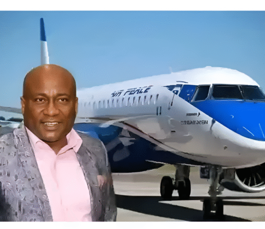 Air Peace CEO says 49 bird strikes hit operations as airline pushes back on regulators