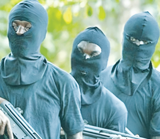 Fresh Bandit Attacks Kill Residents, Spark New Abductions Across the North