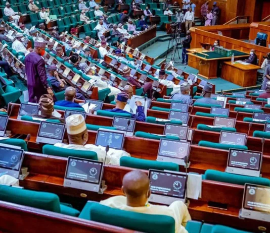 Reps constitution review: new push to tighten how state electoral commissions are appointed