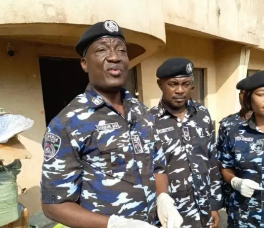 Police Raid Fake Drug Factory in Lagos, Hunt Mastermind