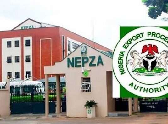NEPZA seeks 10-year tax relief for SEZ operators