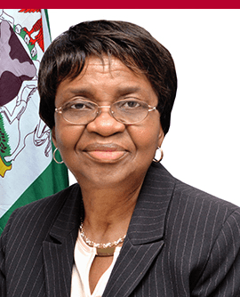 NAFDAC warns on prohibited food imports Professor Mojisola Adeyeye