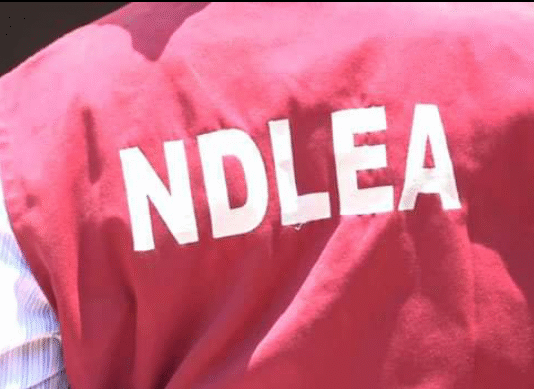 NDLEA in Adamawa reports 1.3 tonnes seized and 150 arrests in December crackdown