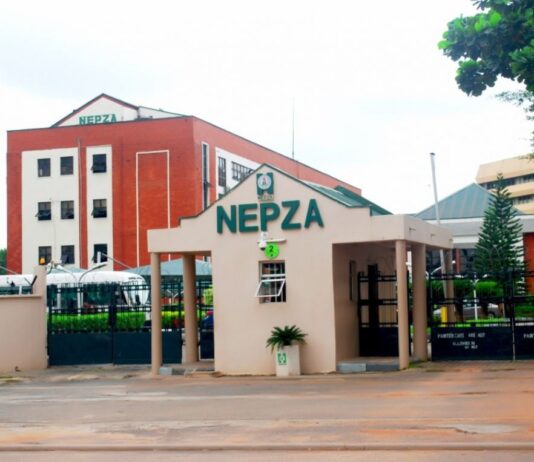 NEPZA asks for 10-year transition window as Nigeria tightens tax incentives for SEZs