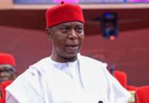 Ned Nwoko says court ordered rehab assessment before Regina Daniels can see their children
