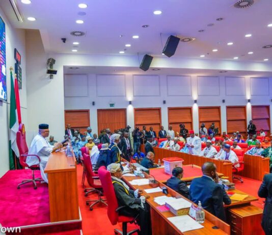 Senate confirms 64 ambassadors as Nigeria fills key diplomatic gaps