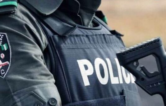 Police arrest inspector in Niger over alleged arms supply chain to bandits