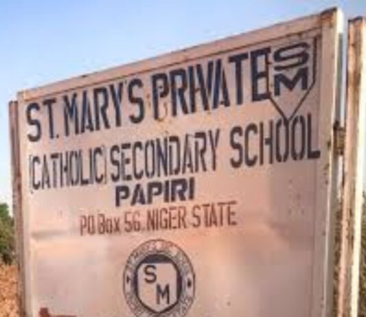 Papiri school abductions: last batch of Niger pupils freed as families prepare reunions