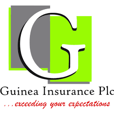 Guinea Insurance Maps N15bn Capital Raise as Recapitalisation Pressure Builds