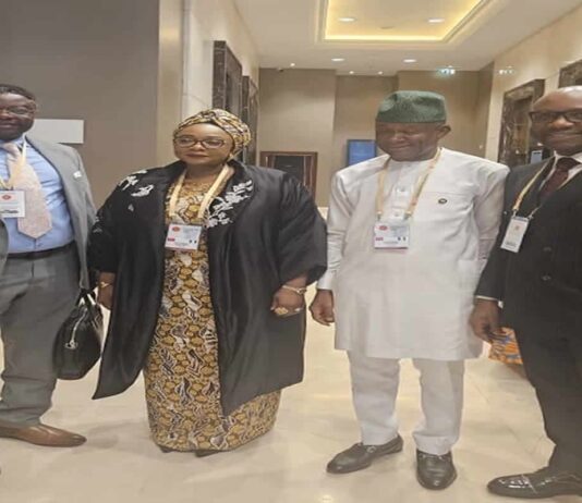 Nigeria and Türkiye Partner to Commercialize Scientific Research