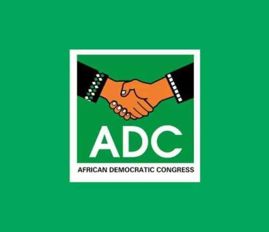 Fiscal Responsibility: Experts Warn Against ‘Frivolous’ Insertions in 2026 Budget