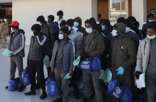 Surge in Canadian Enforcement Leads to Imminent Deportation of 974 Nigerians