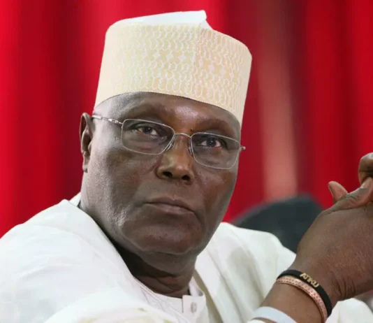 Presidency Rebutts Critics Over Tinubu’s Paris Lunch Photographs