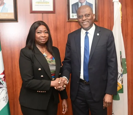 Diaspora Affairs: Nigeria Moves to Formalize Remittance Channels