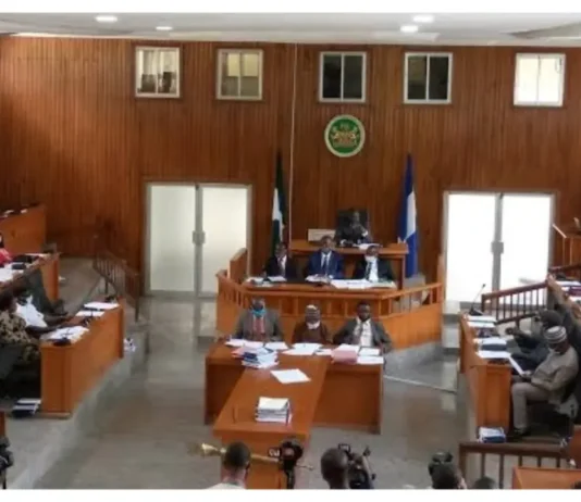 Lawmakers Summon Firm Over Alleged Illegal Logging in Cross River Forest
