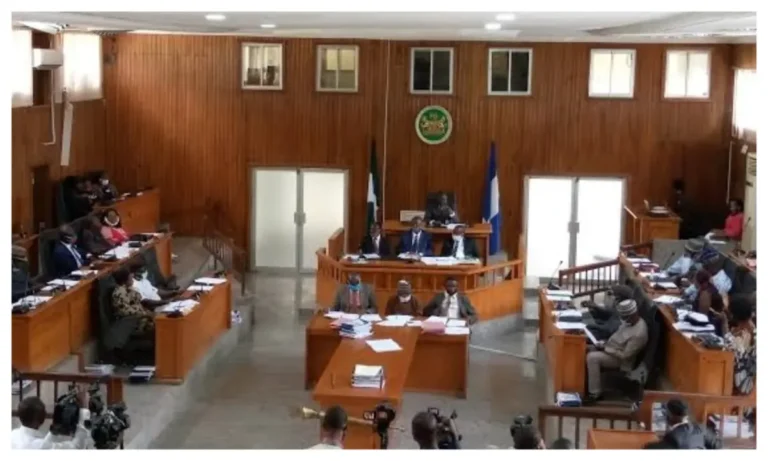 Lawmakers Summon Firm Over Alleged Illegal Logging in Cross River Forest