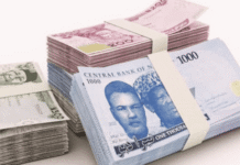 Naira Gains in Official Market as CBN Interventions Boost Liquidity