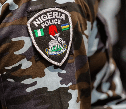 Borno Police Say 2,610 Suspects Arrested in Wide Crime Sweep, Hundreds Convicted