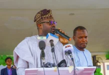 Creative Sector Identified as Primary Driver for 2026 GDP Growth