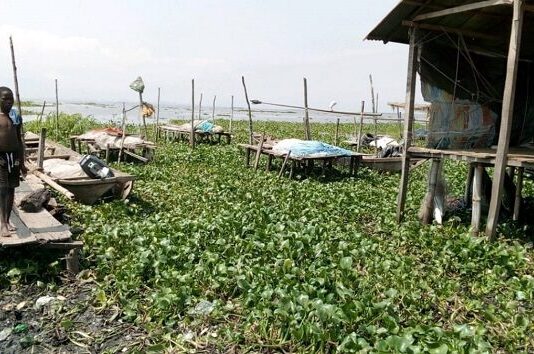LASWA Reopens Ikorodu Ferry Terminal After Hyacinth Clearance