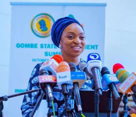 Federal Government Targets $1 Trillion GDP Through Radical Investment Mobilization