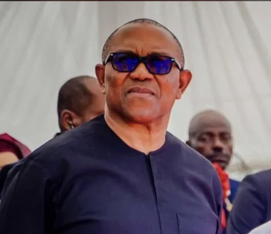 Peter Obi’s Move to ADC Sparks Membership Surge and Political Realignment