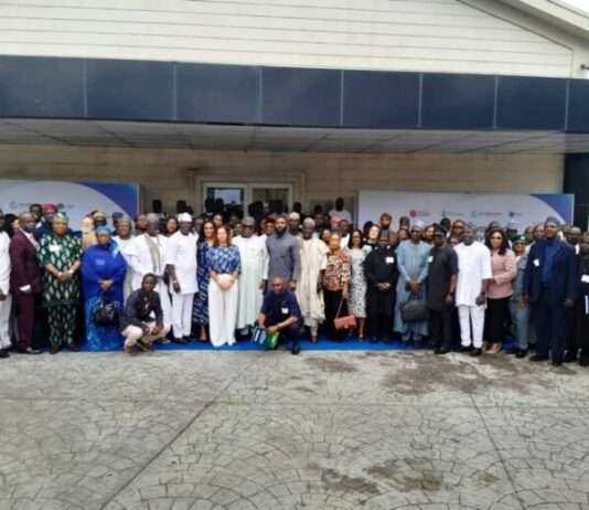 FG Targets Solid Minerals Boom as Dele Alake Pushes New Mining Roadmap