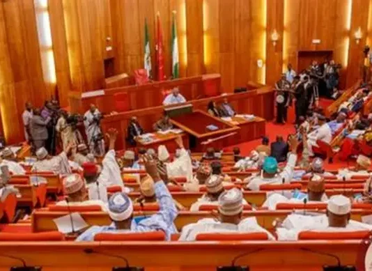 Nigerian Senate Demands Briefing on U.S. Airstrikes in Sokoto Territory