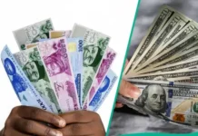 Nigeria Faces Deepening Economic Crisis as Currency Gap Widens