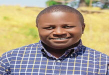 Health Experts Warn Against Traditional Snakebite Treatments Following Surge in Cases